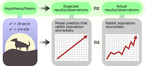 Hypothesis about rabbit/wolf interaction and how the rabbit population would respond.