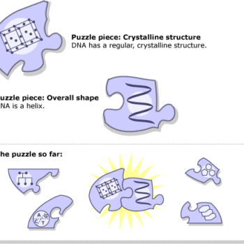 DNA as a puzzle piece.